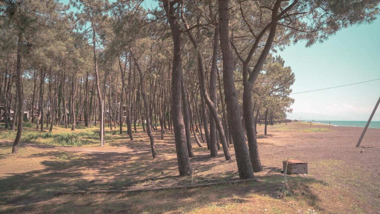 Shekvetili Big Wonder Villa Bagian luar foto